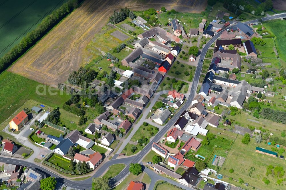 Aerial image Gentha - Agricultural land and field borders surround the settlement area of the village in Gentha in the state Saxony-Anhalt, Germany