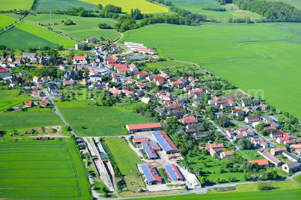 Großdobritz from the bird's eye view: Agricultural land and field borders surround the settlement area of the village in Grossdobritz in the state Saxony, Germany