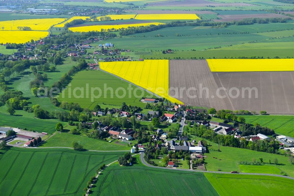 Leisnitz from above - Agricultural land and field borders surround the settlement area of the village in Leisnitz in the state Saxony, Germany