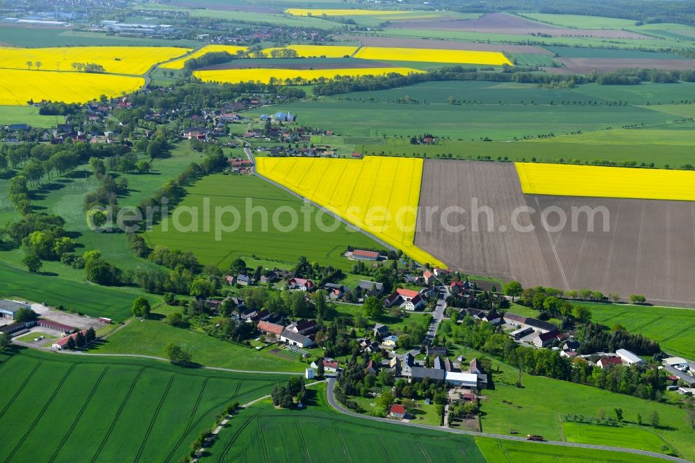 Leisnitz from the bird's eye view: Agricultural land and field borders surround the settlement area of the village in Leisnitz in the state Saxony, Germany