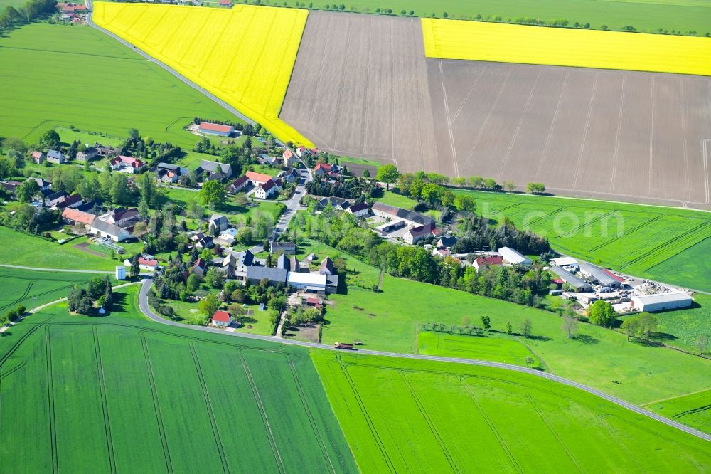 Aerial image Leisnitz - Agricultural land and field borders surround the settlement area of the village in Leisnitz in the state Saxony, Germany