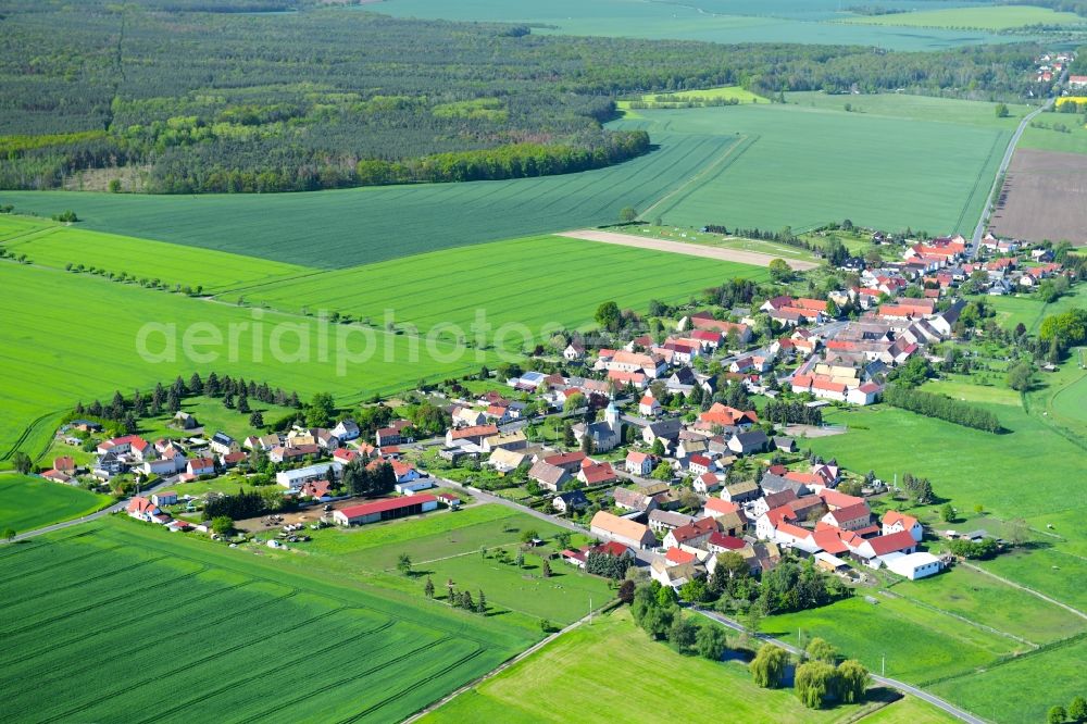 Aerial photograph Meltewitz - Agricultural land and field borders surround the settlement area of the village in Meltewitz in the state Saxony, Germany