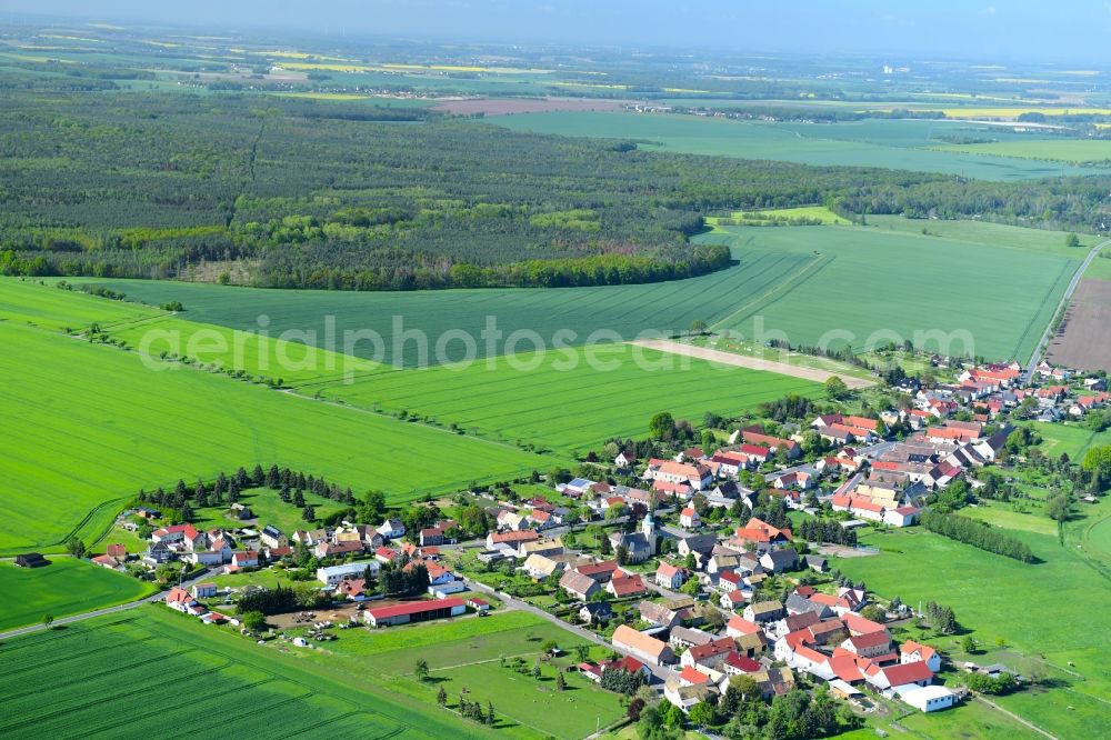 Meltewitz from above - Agricultural land and field borders surround the settlement area of the village in Meltewitz in the state Saxony, Germany