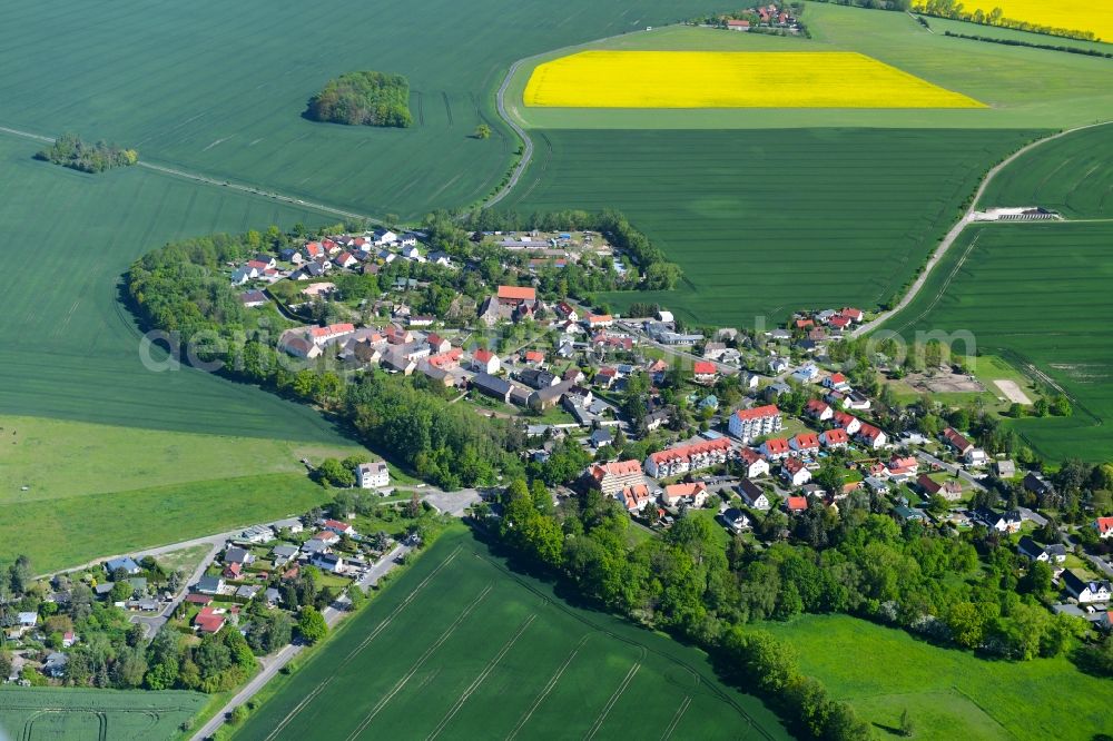 Merkwitz from above - Agricultural land and field borders surround the settlement area of the village in Merkwitz in the state Saxony, Germany