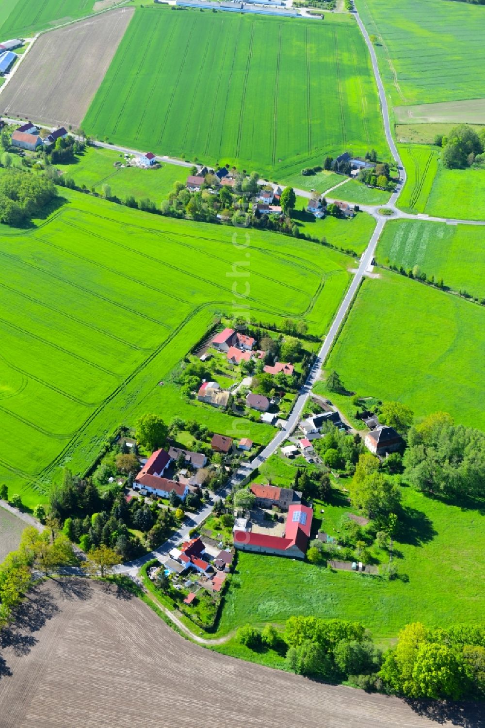 Aerial image Cavertitz - Agricultural land and field borders surround the settlement area of the village in the district Lampertswalde in Cavertitz in the state Saxony, Germany