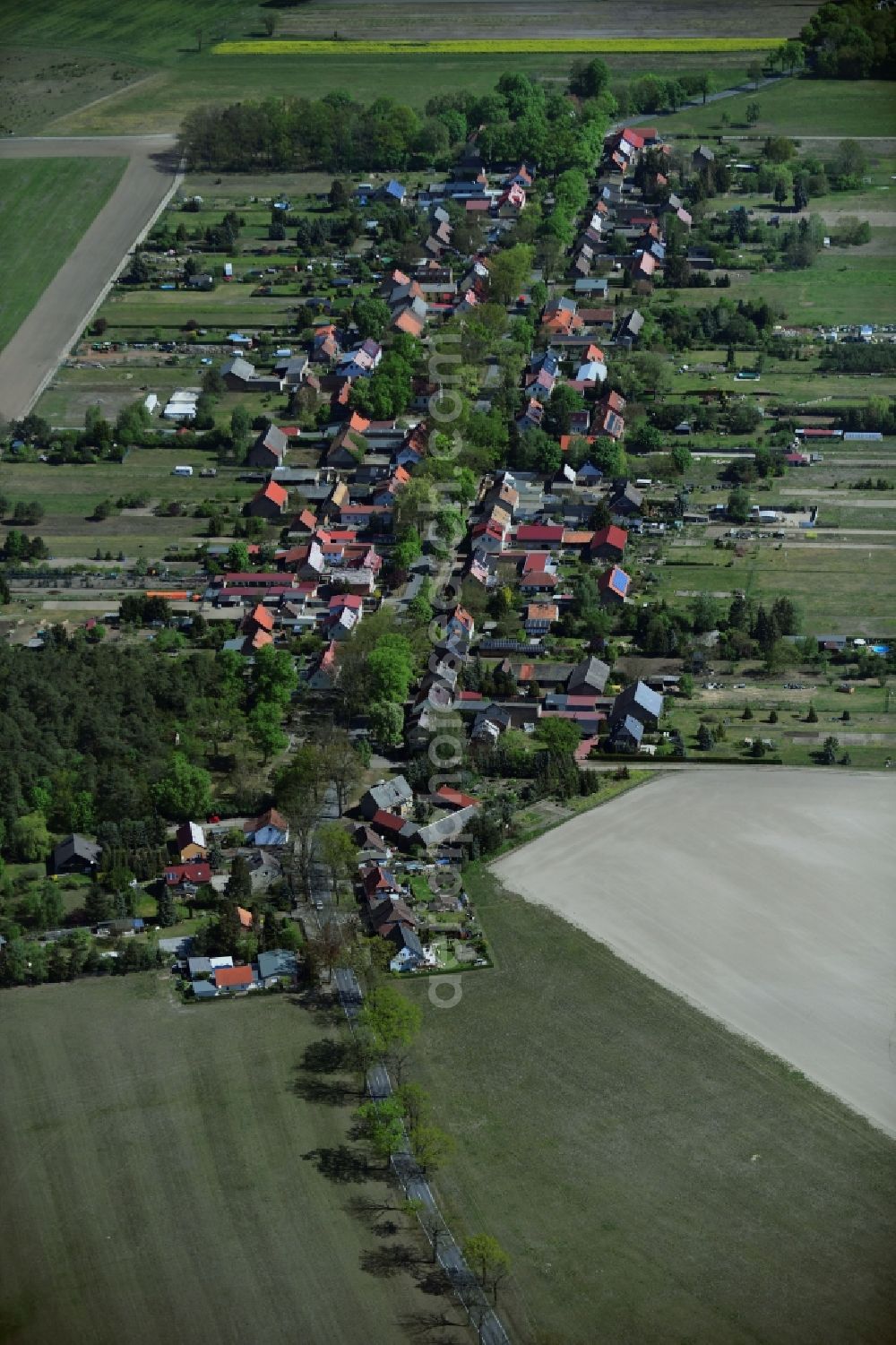 Philippsthal from the bird's eye view: Agricultural land and field borders surround the settlement area of the village in Philippsthal in the state Brandenburg, Germany