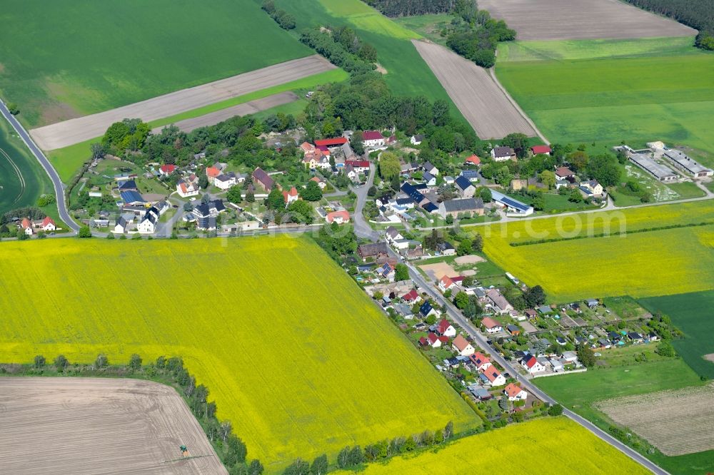 Aerial image Pressen - Agricultural land and field borders surround the settlement area of the village in Pressen in the state Saxony, Germany