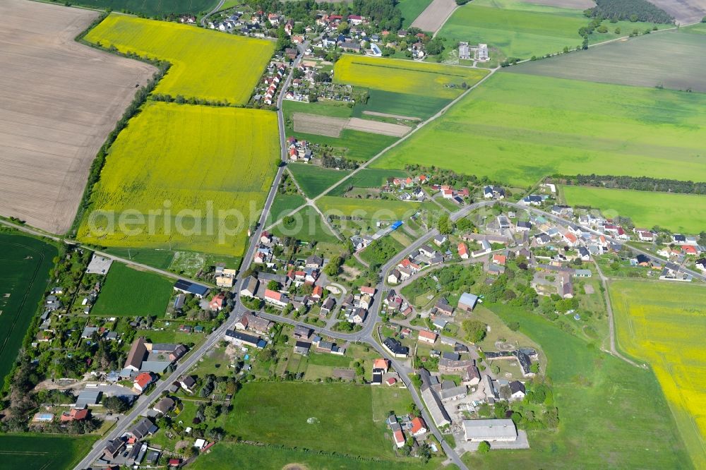 Pressen from above - Agricultural land and field borders surround the settlement area of the village in Pressen in the state Saxony, Germany