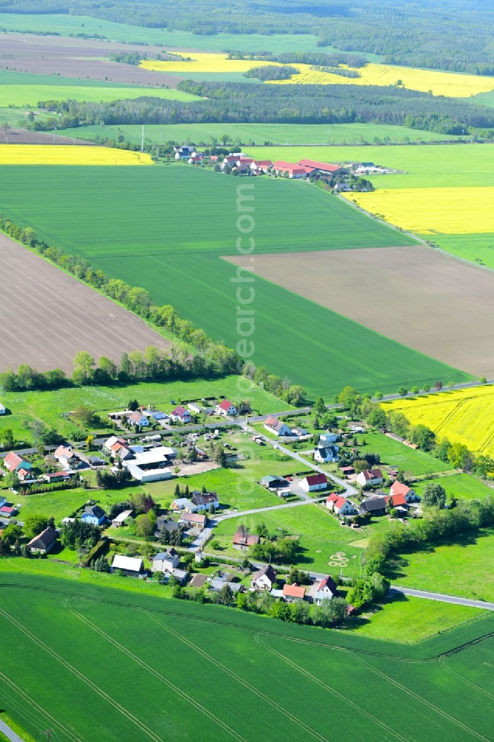 Aerial photograph Schwarzer Kater - Agricultural land and field borders surround the settlement area of the village in Schwarzer Kater in the state Saxony, Germany