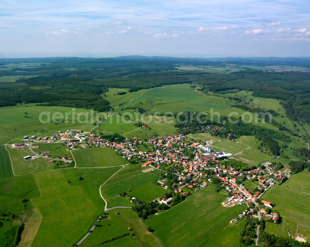 Allrode from the bird's eye view: Village - view on the edge of forested areas in Allrode in the state Saxony-Anhalt, Germany