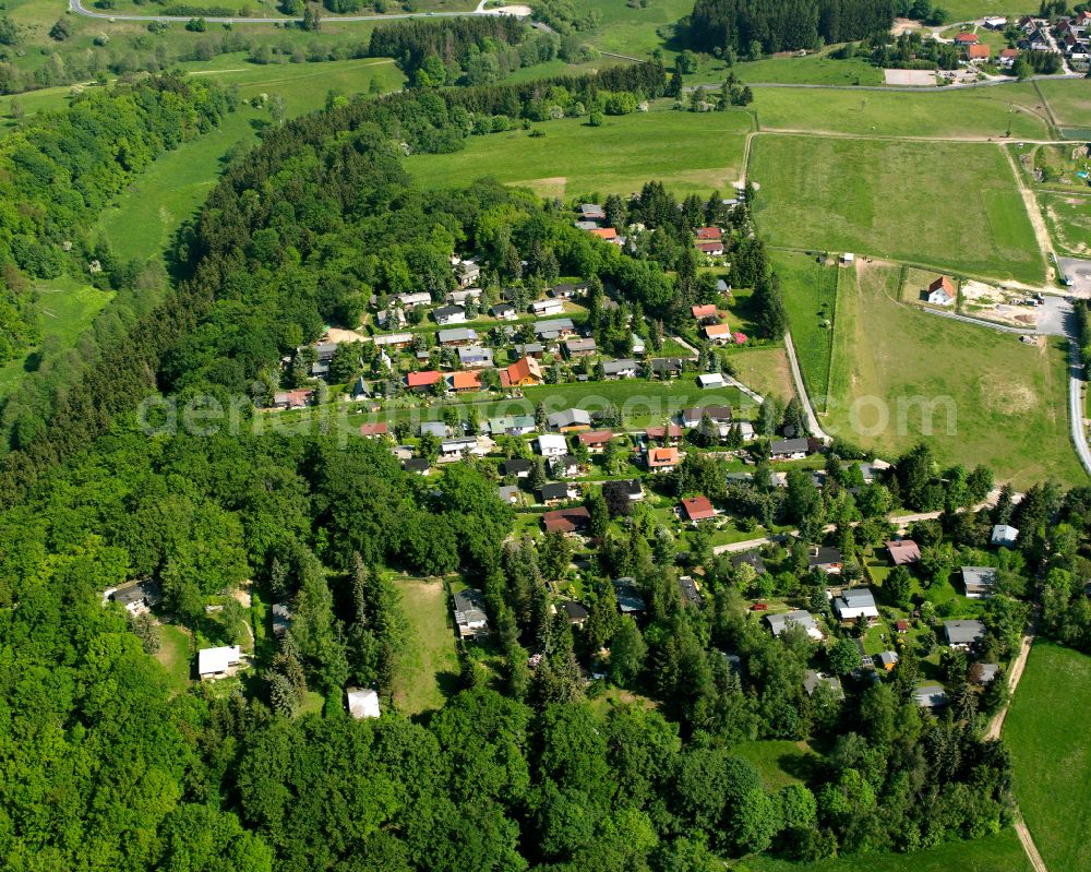 Allrode from the bird's eye view: Village - view on the edge of forested areas in Allrode in the state Saxony-Anhalt, Germany