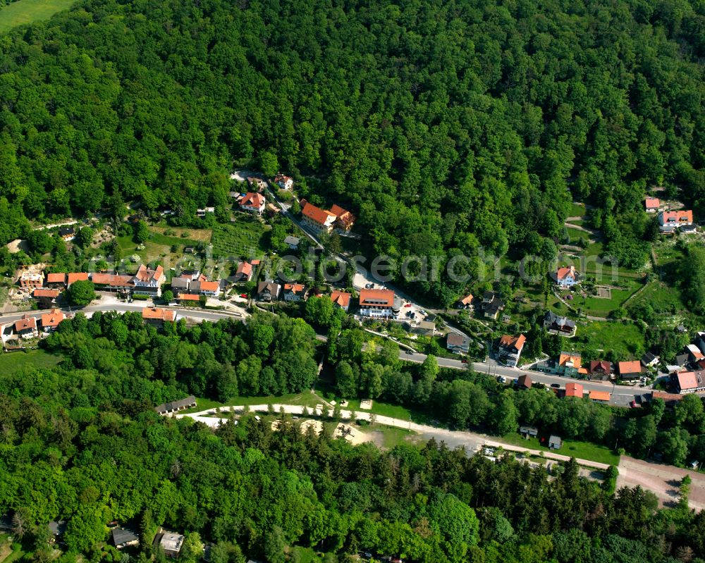 Aerial photograph Altenbrak - Village - view on the edge of forested areas in Altenbrak in the state Saxony-Anhalt, Germany