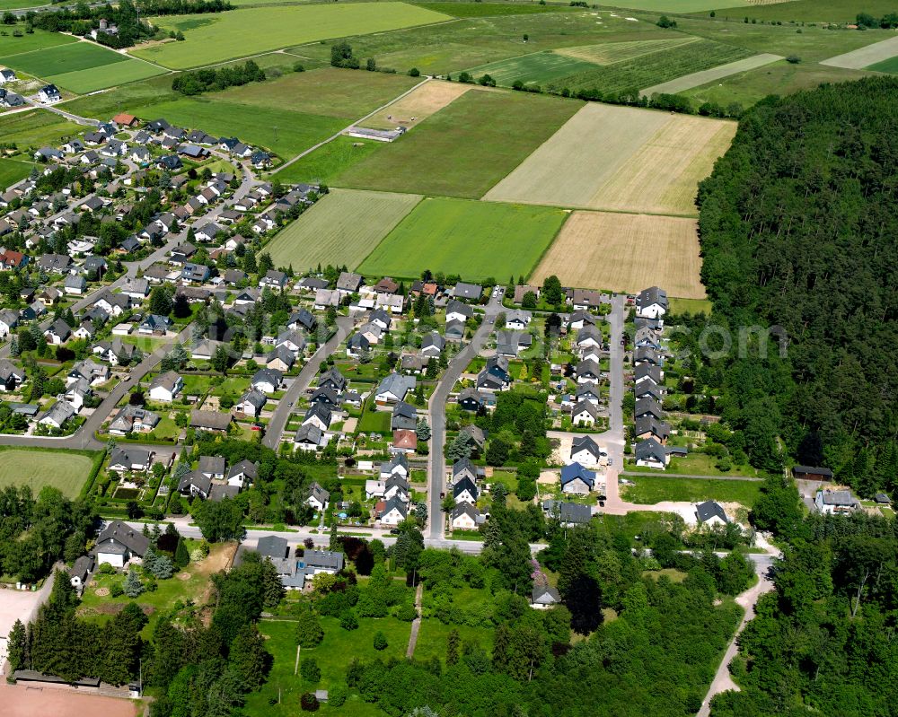 Argenthal from the bird's eye view: Village - view on the edge of forested areas in Argenthal in the state Rhineland-Palatinate, Germany