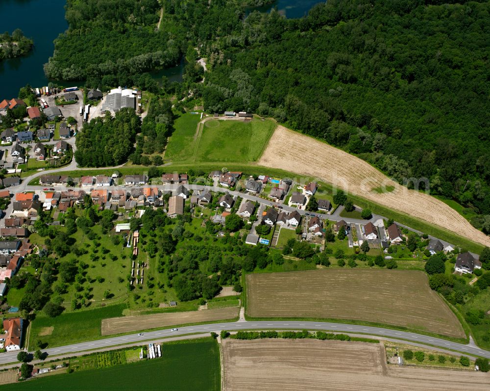 Auenheim from the bird's eye view: Village - view on the edge of forested areas in Auenheim in the state Baden-Wuerttemberg, Germany