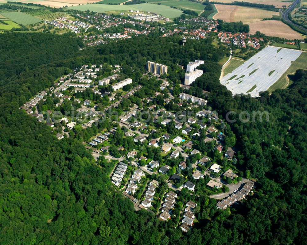 Aerial image Bergwald - Village - view on the edge of forested areas in Bergwald in the state Baden-Wuerttemberg, Germany