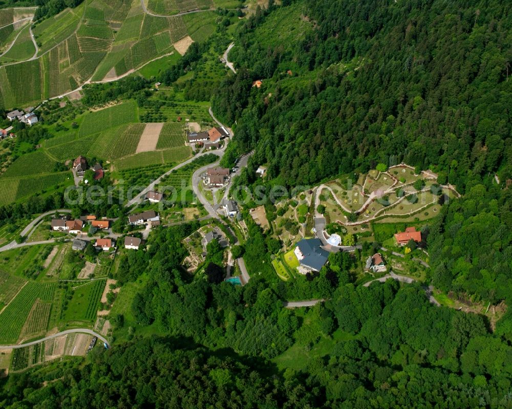 Aerial photograph Bühl - Village - view on the edge of forested areas in Bühl in the state Baden-Wuerttemberg, Germany