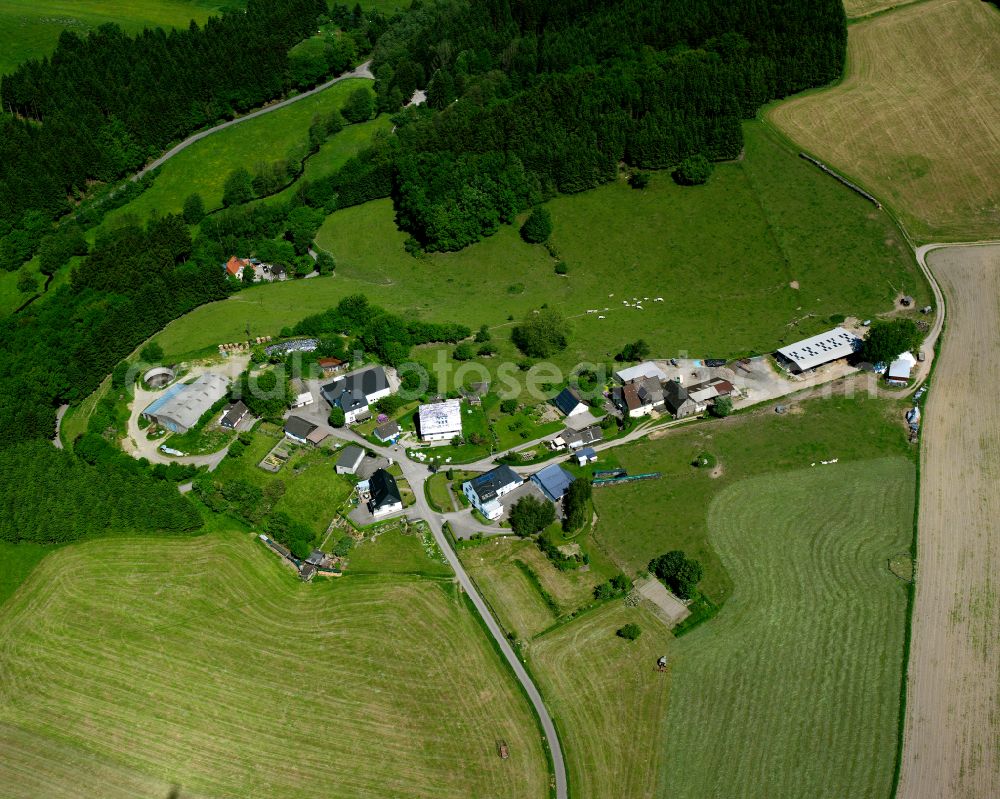 Aerial image Bollwerk - Village - view on the edge of forested areas in Bollwerk in the state North Rhine-Westphalia, Germany