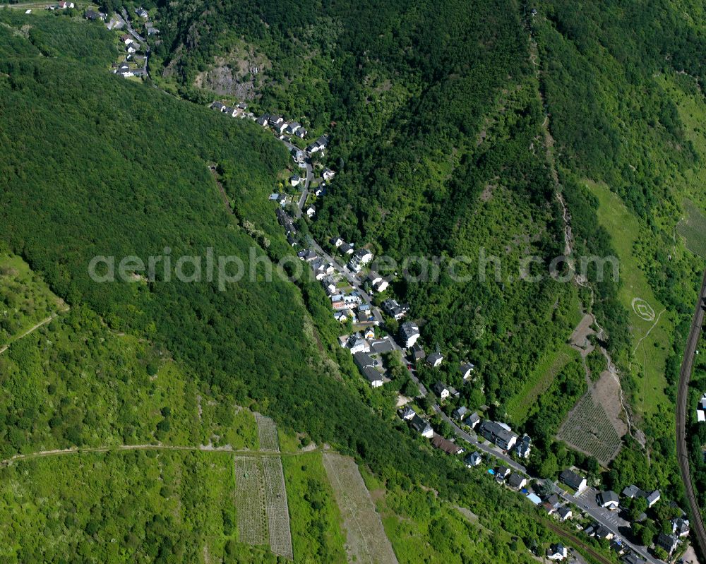 Boppard from above - Village - view on the edge of forested areas in Boppard in the state Rhineland-Palatinate, Germany