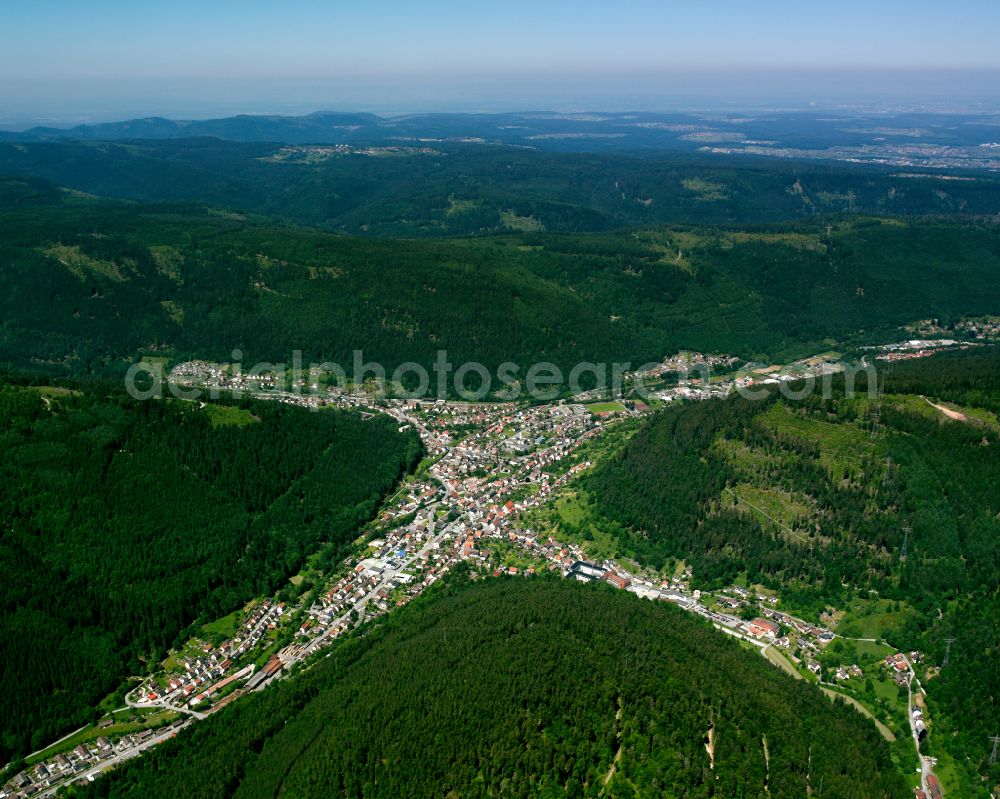 Calmbach from the bird's eye view: Village - view on the edge of forested areas in Calmbach in the state Baden-Wuerttemberg, Germany