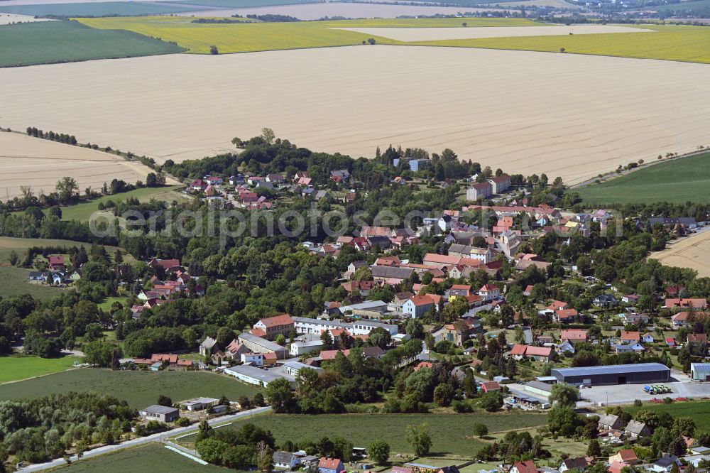 Dederstedt from the bird's eye view: Village - view on the edge of forested areas in Dederstedt in the state Saxony-Anhalt, Germany