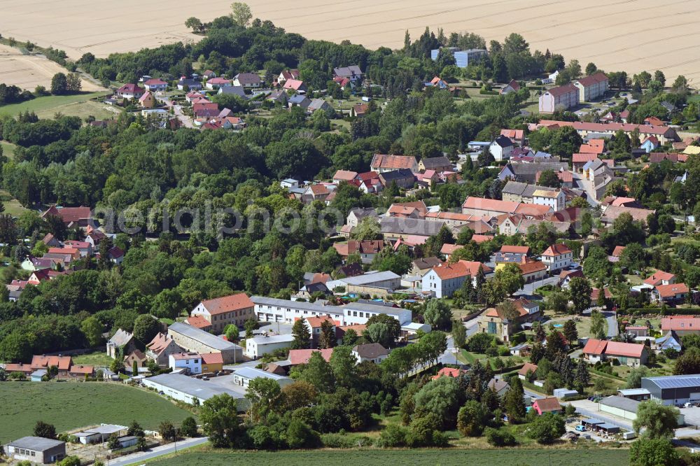 Aerial image Dederstedt - Village - view on the edge of forested areas in Dederstedt in the state Saxony-Anhalt, Germany