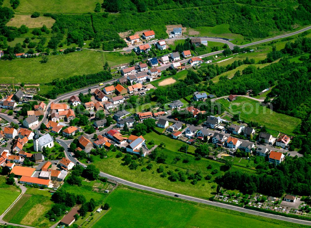 Dielkirchen from above - Village - view on the edge of forested areas in Dielkirchen in the state Rhineland-Palatinate, Germany