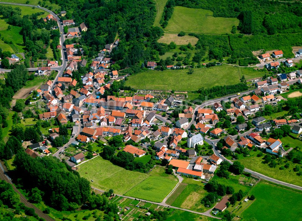 Dielkirchen from the bird's eye view: Village - view on the edge of forested areas in Dielkirchen in the state Rhineland-Palatinate, Germany