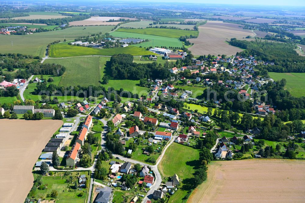 Aerial image Dölzig - Village - view on the edge of forested areas in Dölzig in the state Thuringia, Germany