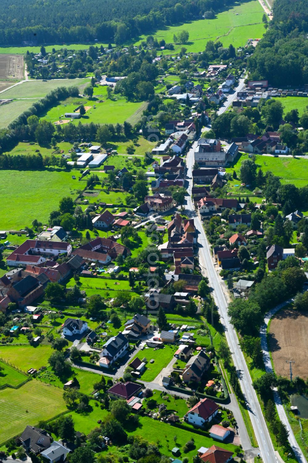 Dorna from the bird's eye view: Village - view on the edge of forested areas in Dorna in the state Thuringia, Germany