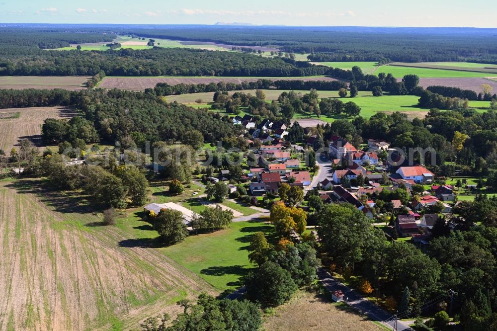 Dorst from the bird's eye view: Village - view on the edge of forested areas in Dorst in the state Saxony-Anhalt, Germany