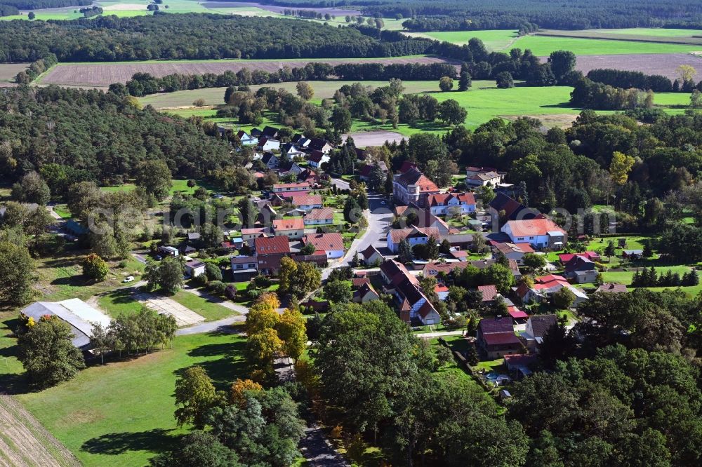 Aerial image Dorst - Village - view on the edge of forested areas in Dorst in the state Saxony-Anhalt, Germany