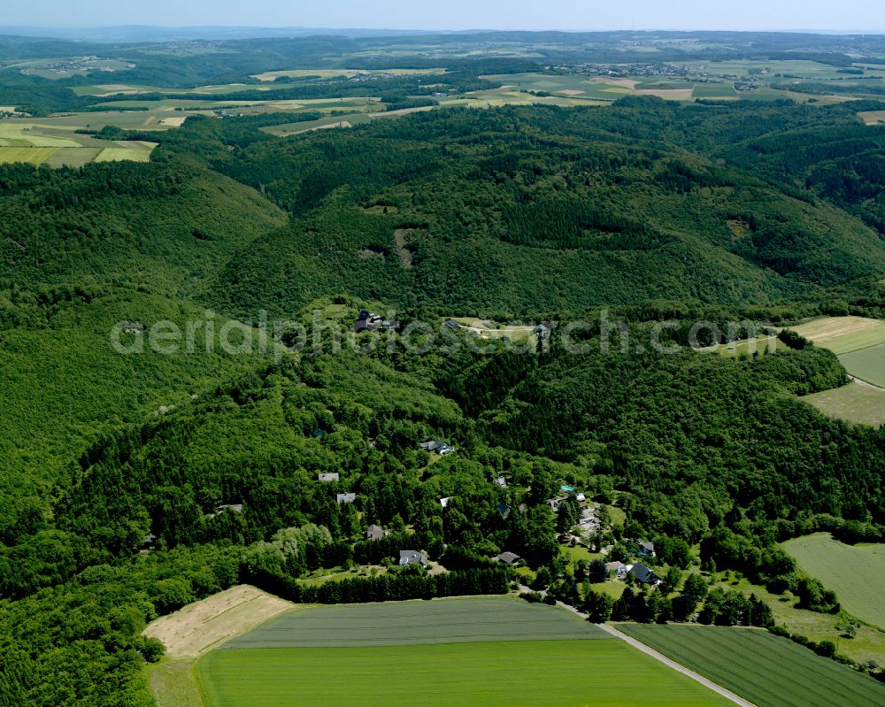 Aerial photograph Dorweiler - Village - view on the edge of forested areas in Dorweiler in the state Rhineland-Palatinate, Germany