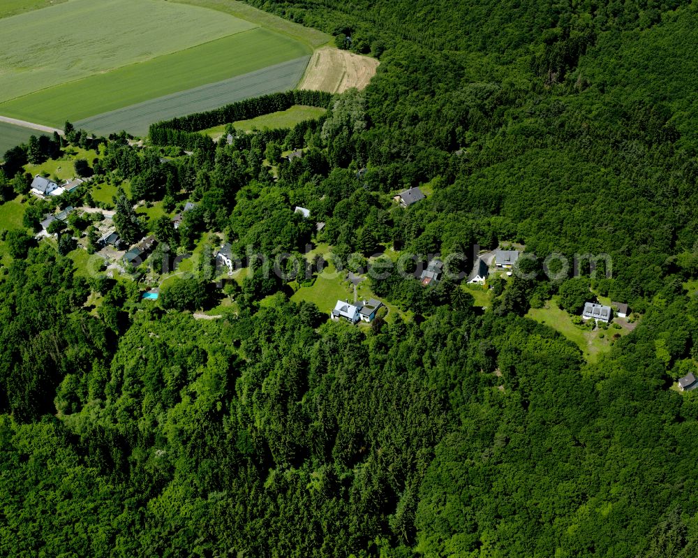 Dorweiler from above - Village - view on the edge of forested areas in Dorweiler in the state Rhineland-Palatinate, Germany