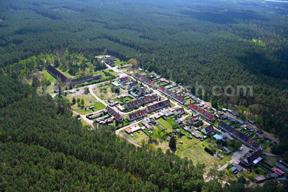 Dreetz from the bird's eye view: Village - view on the edge of forested areas in the district Waldsiedlung in Dreetz in the state Brandenburg, Germany