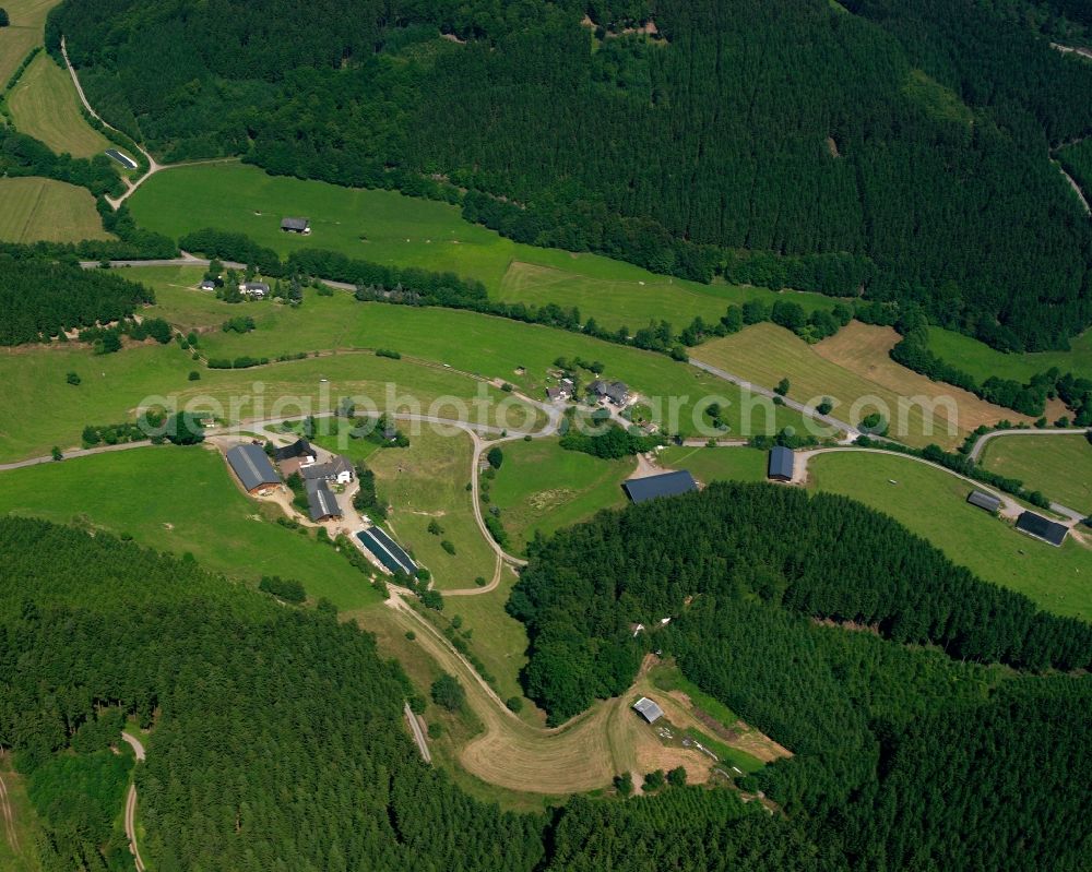 Aerial image Elsoff - Village - view on the edge of forested areas in Elsoff in the state North Rhine-Westphalia, Germany