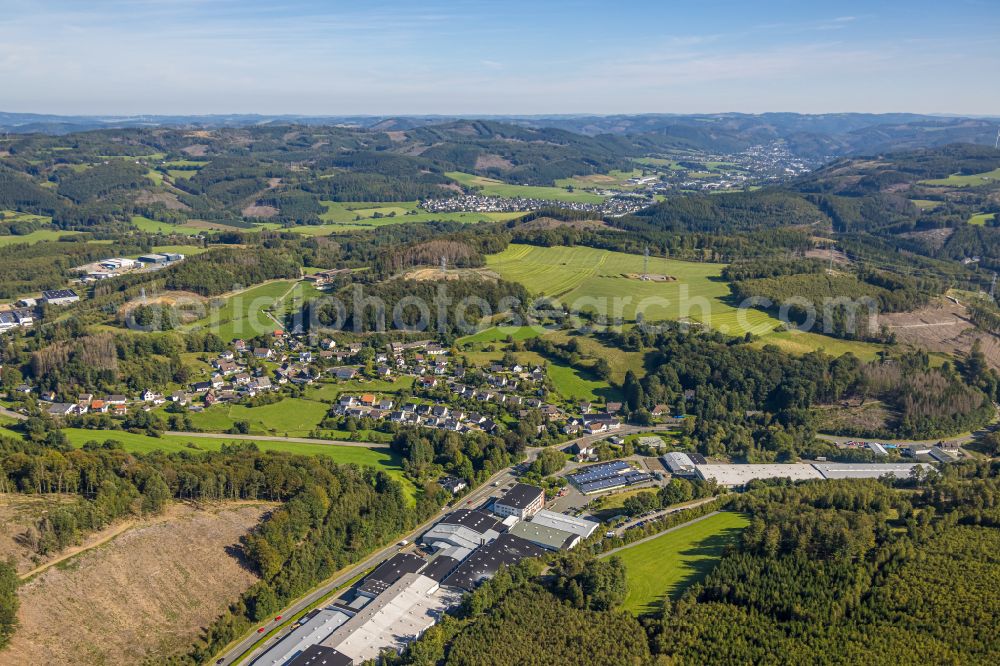 Friedlin from the bird's eye view: Village - view on the edge of forested areas on street Gruenenthal in Friedlin in the state North Rhine-Westphalia, Germany