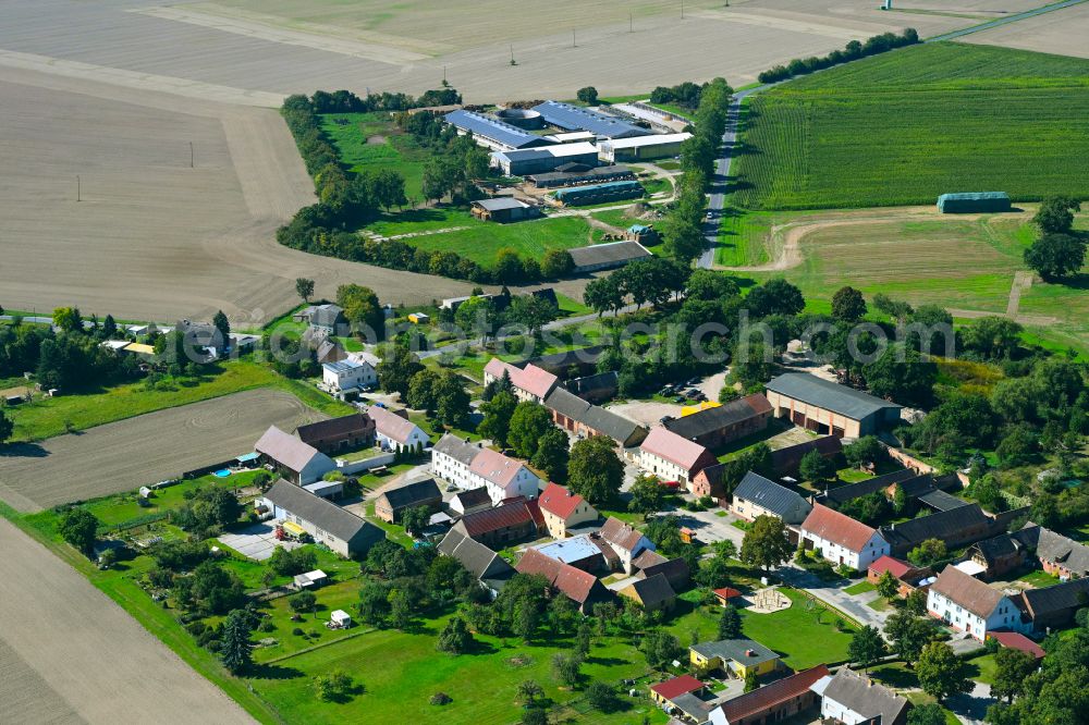 Garrey from above - Village - view on the edge of forested areas in Garrey in the state Brandenburg, Germany