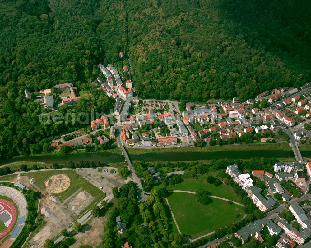 Gera from above - Village - view on the edge of forested areas in Gera in the state Thuringia, Germany