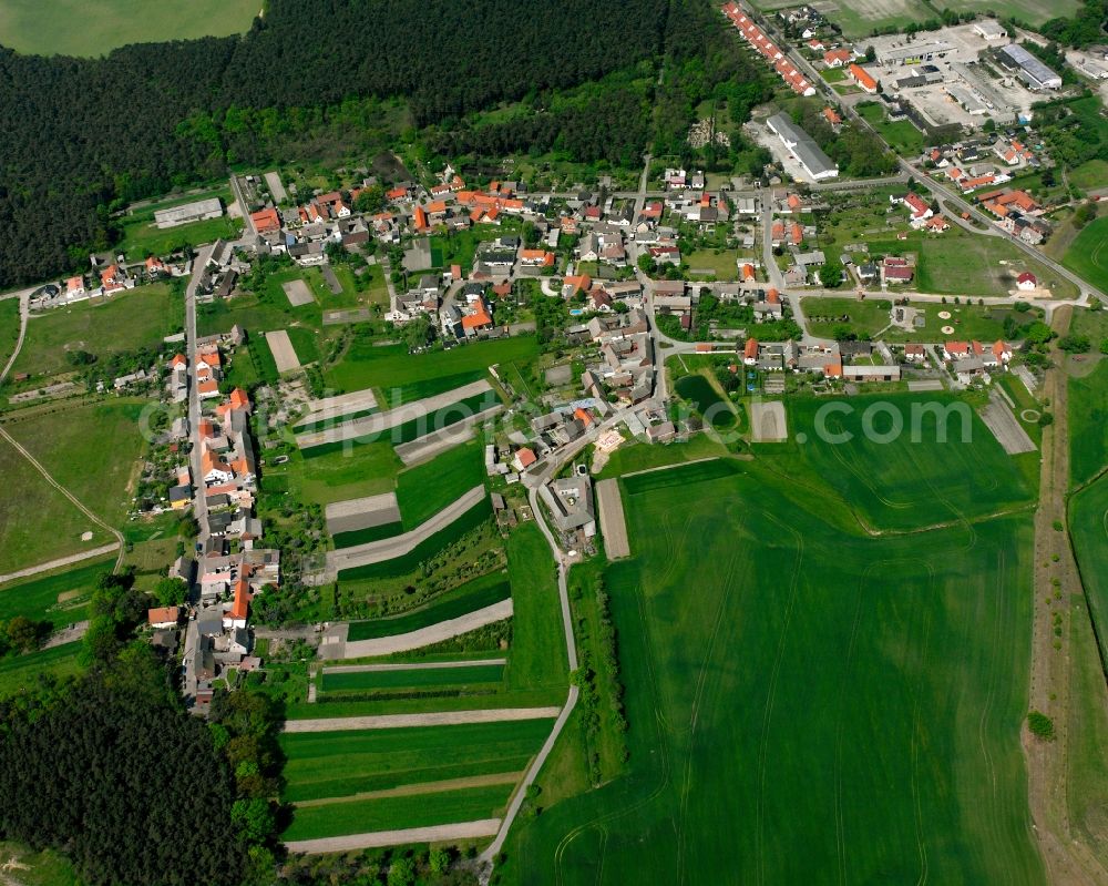 Aerial image Gohrau - Village - view on the edge of forested areas in Gohrau in the state Saxony-Anhalt, Germany