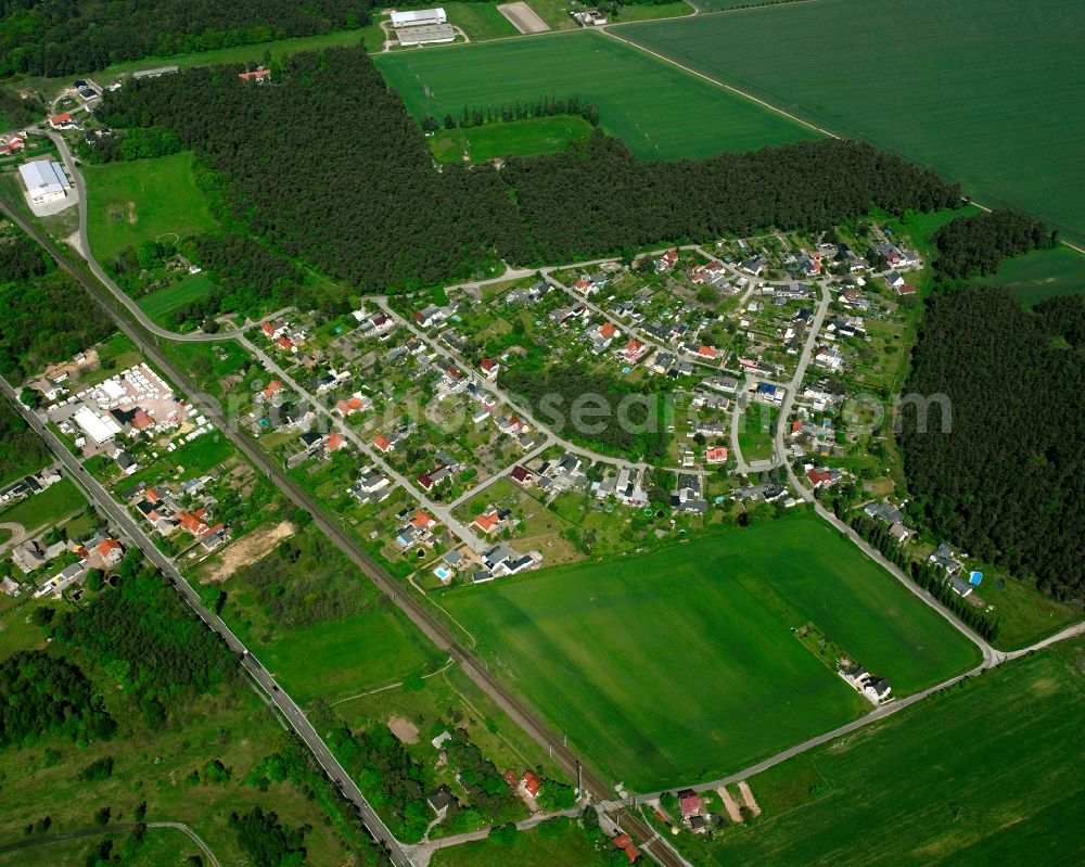 Aerial photograph Griebo - Village - view on the edge of forested areas in Griebo in the state Saxony-Anhalt, Germany