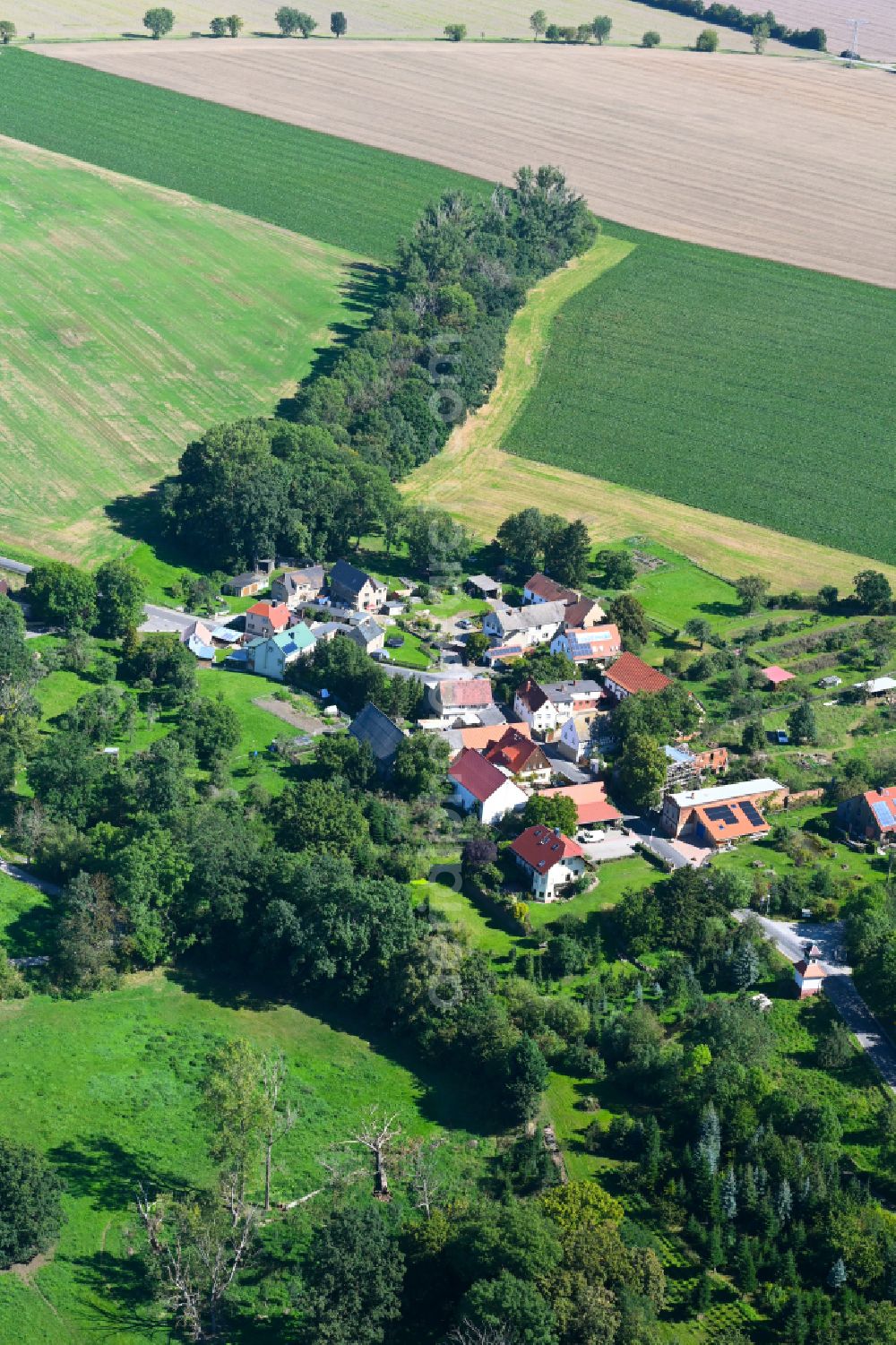 Aerial photograph Groitzsch - Village - view on the edge of forested areas in Groitzsch in the state Saxony, Germany