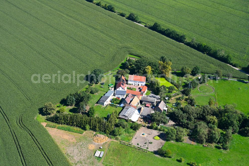 Groitzsch from above - Village - view on the edge of forested areas in Groitzsch in the state Saxony, Germany