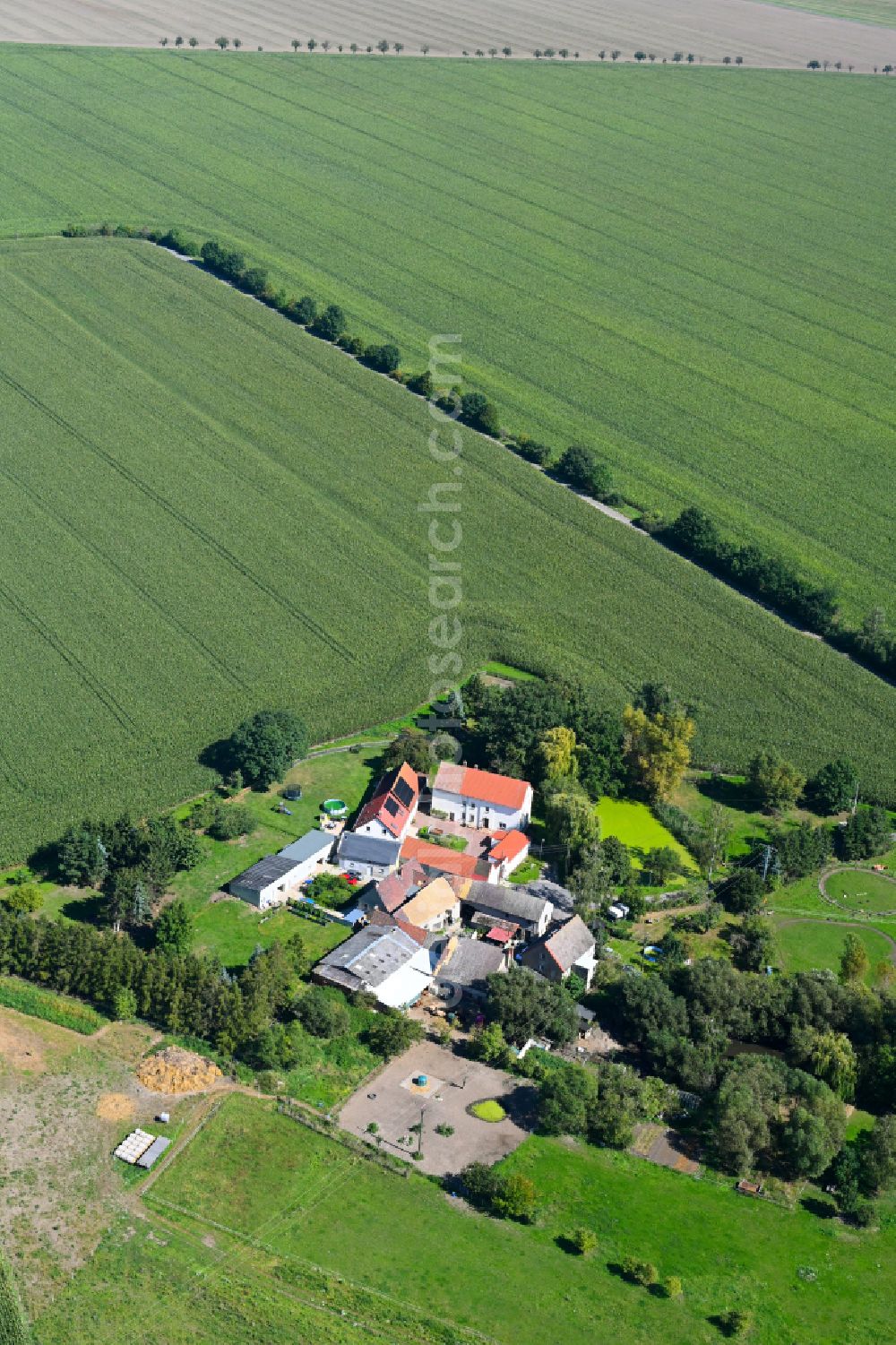 Groitzsch from the bird's eye view: Village - view on the edge of forested areas in Groitzsch in the state Saxony, Germany