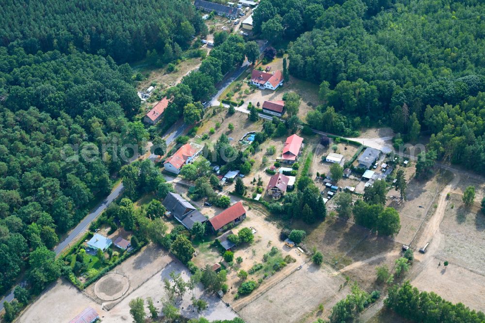 Groß Schönebeck from the bird's eye view: Village - view on the edge of forested areas on street Hammer Chaussee in Gross Schoenebeck at Schorfheide in the state Brandenburg, Germany