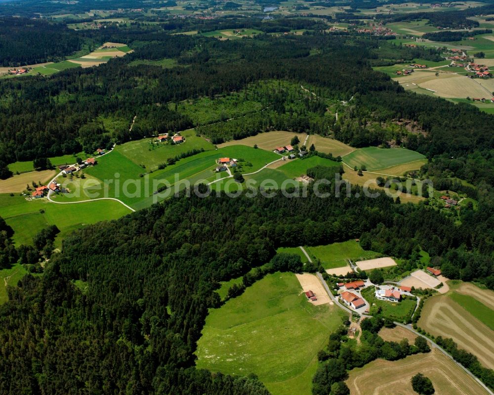 Großneundling from above - Village - view on the edge of forested areas in Großneundling in the state Bavaria, Germany