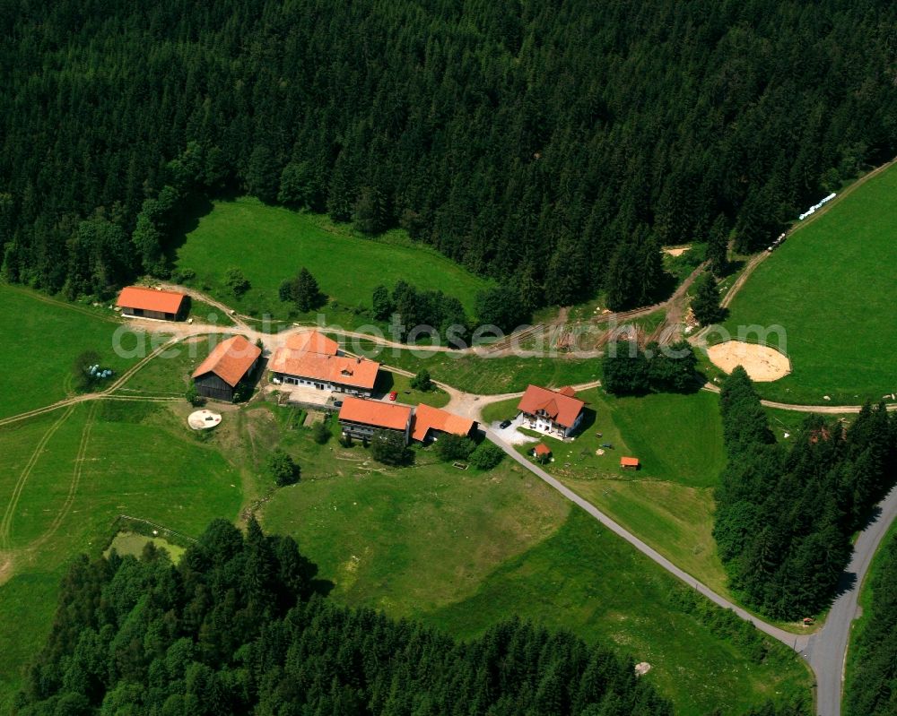 Haidberg from the bird's eye view: Village - view on the edge of forested areas in Haidberg in the state Bavaria, Germany