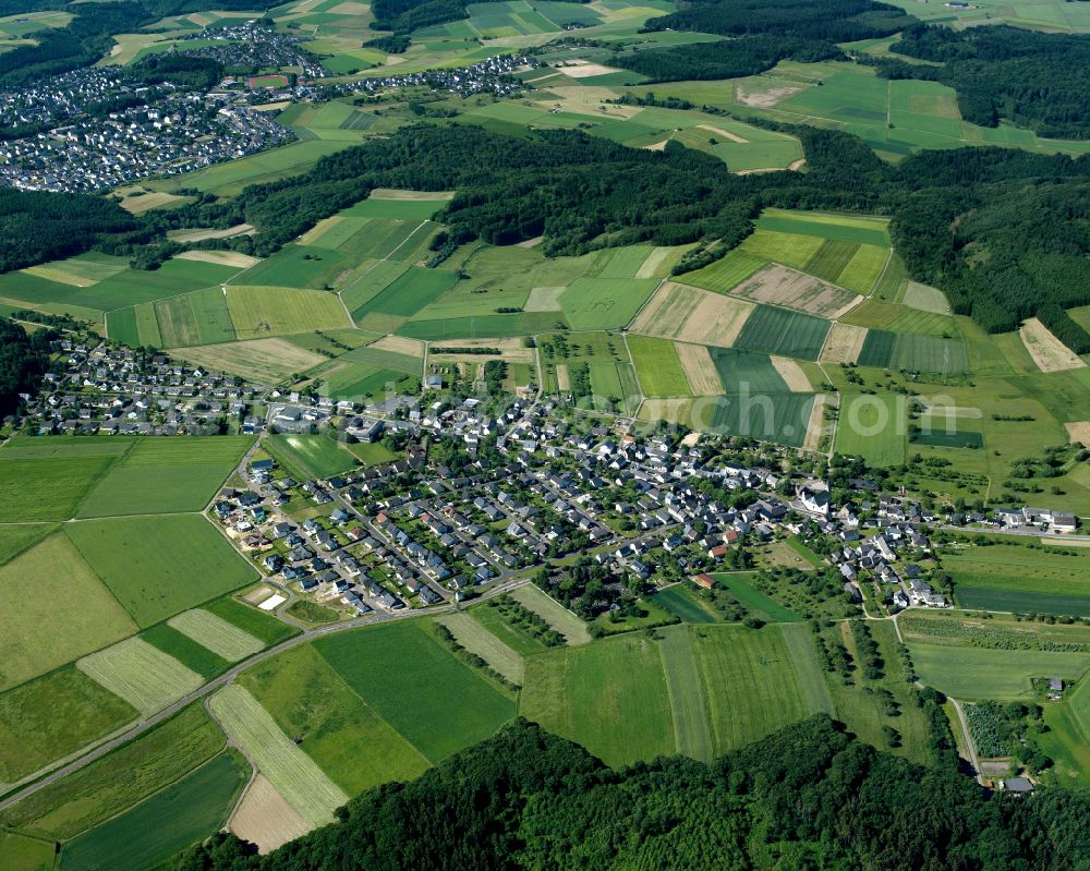 Halsenbach from above - Village - view on the edge of forested areas in Halsenbach in the state Rhineland-Palatinate, Germany