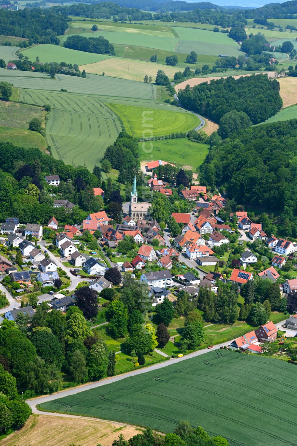 Hillentrup from the bird's eye view: Village - view on the edge of forested areas in Hillentrup in the state North Rhine-Westphalia, Germany