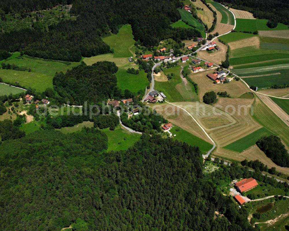 Hirschberg from the bird's eye view: Village - view on the edge of forested areas in Hirschberg in the state Bavaria, Germany