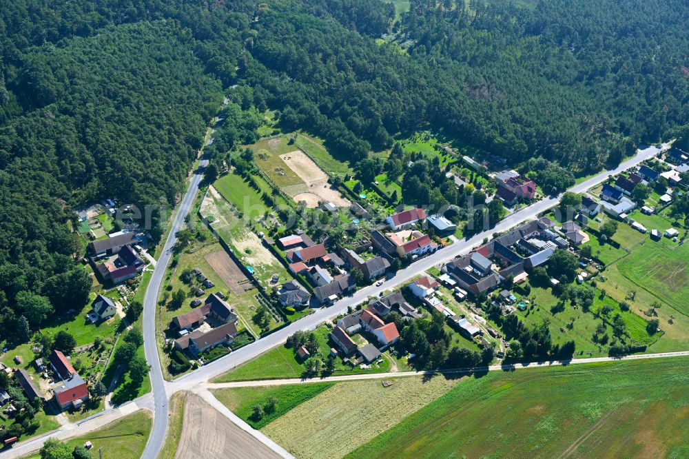 Aerial image Hohenwerbig - Village - view on the edge of forested areas in Hohenwerbig in the state Brandenburg, Germany